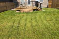 lawn